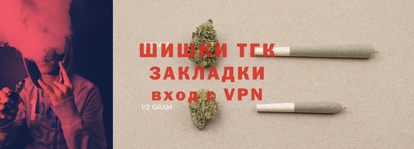 Альфа ПВП Аркадак