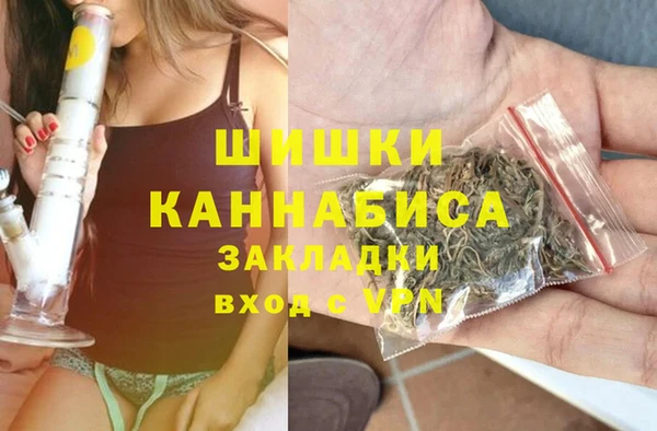 Альфа ПВП Аркадак